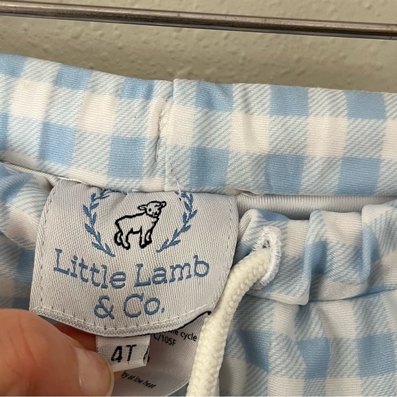 Little Lamb & Co. Blue/White Checkered Euro Style Swim Trunks Size 4T - Picture 3 of 12